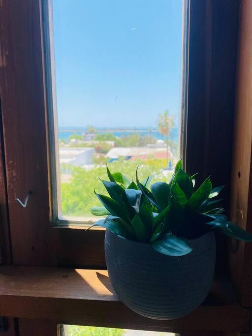 Casa Bahia 2 Blocks Malecon Amaizing Ocean View Daire La Paz Dış mekan fotoğraf
