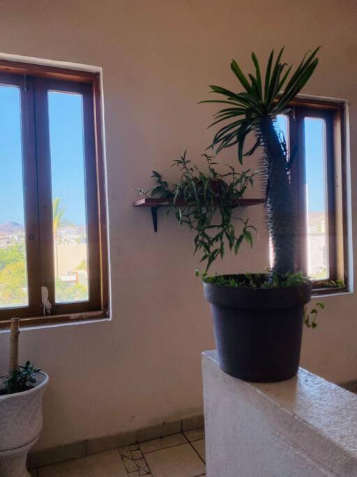Casa Bahia 2 Blocks Malecon Amaizing Ocean View Daire La Paz Dış mekan fotoğraf